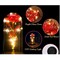 Preserved Rose in Glass Dome with LED Lights Elegant Gift Décor
